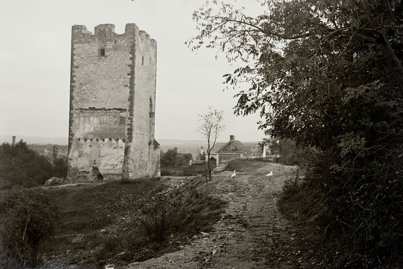 Hungary, Nagyvázsony, Kinizsi vár., 1932, Schermann Ákos, Schermann Szilárd, castle ruins, Fortepan #95724