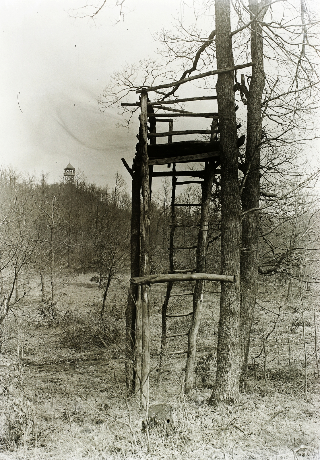 Hungary, Pilis Mountains, háttérben a Bölcső-hegy a kilátóval., 1934, Schermann Ákos, Schermann Szilárd, lookout, Fortepan #95729