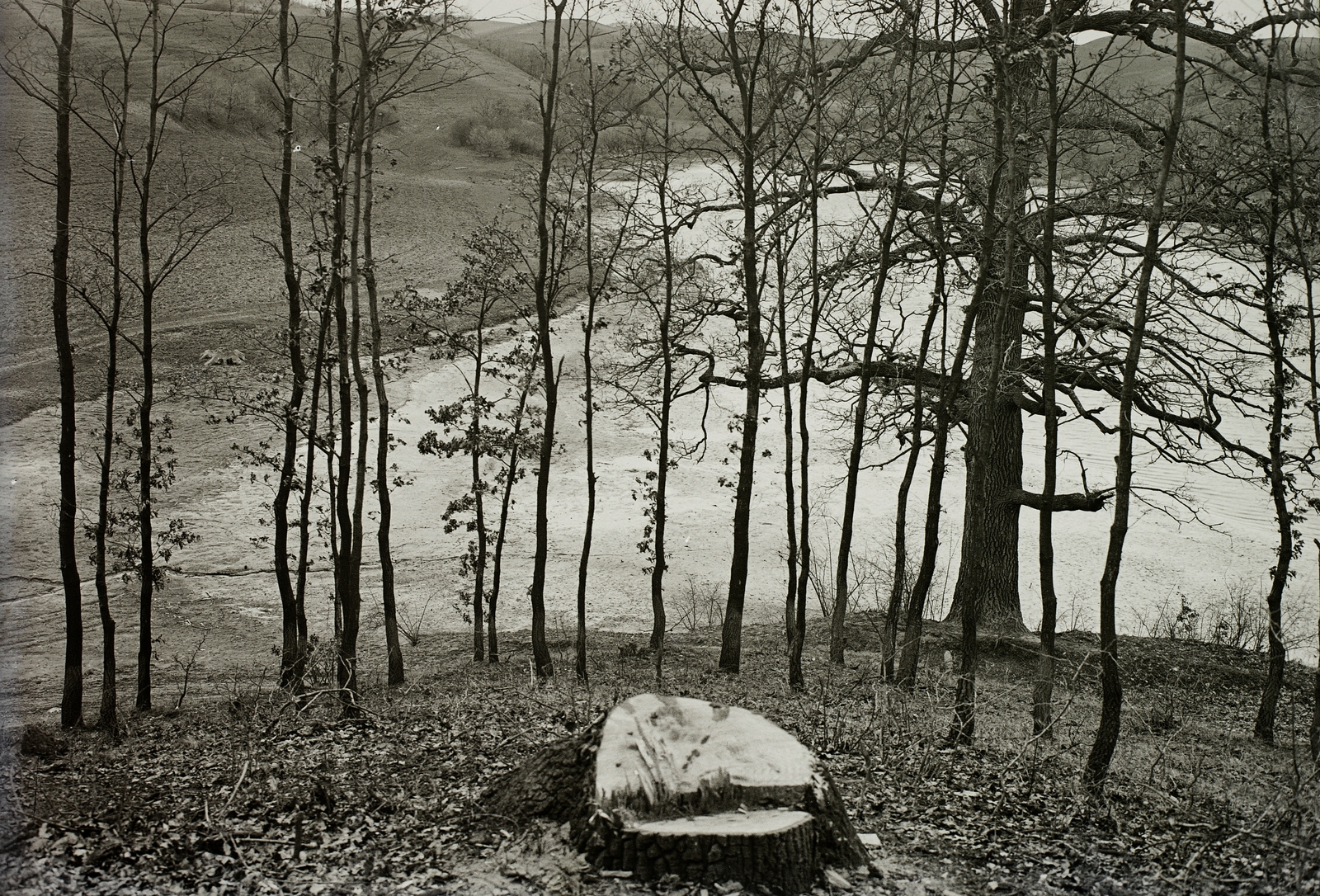 Hungary, 1935, Schermann Ákos, Schermann Szilárd, Fortepan #95731