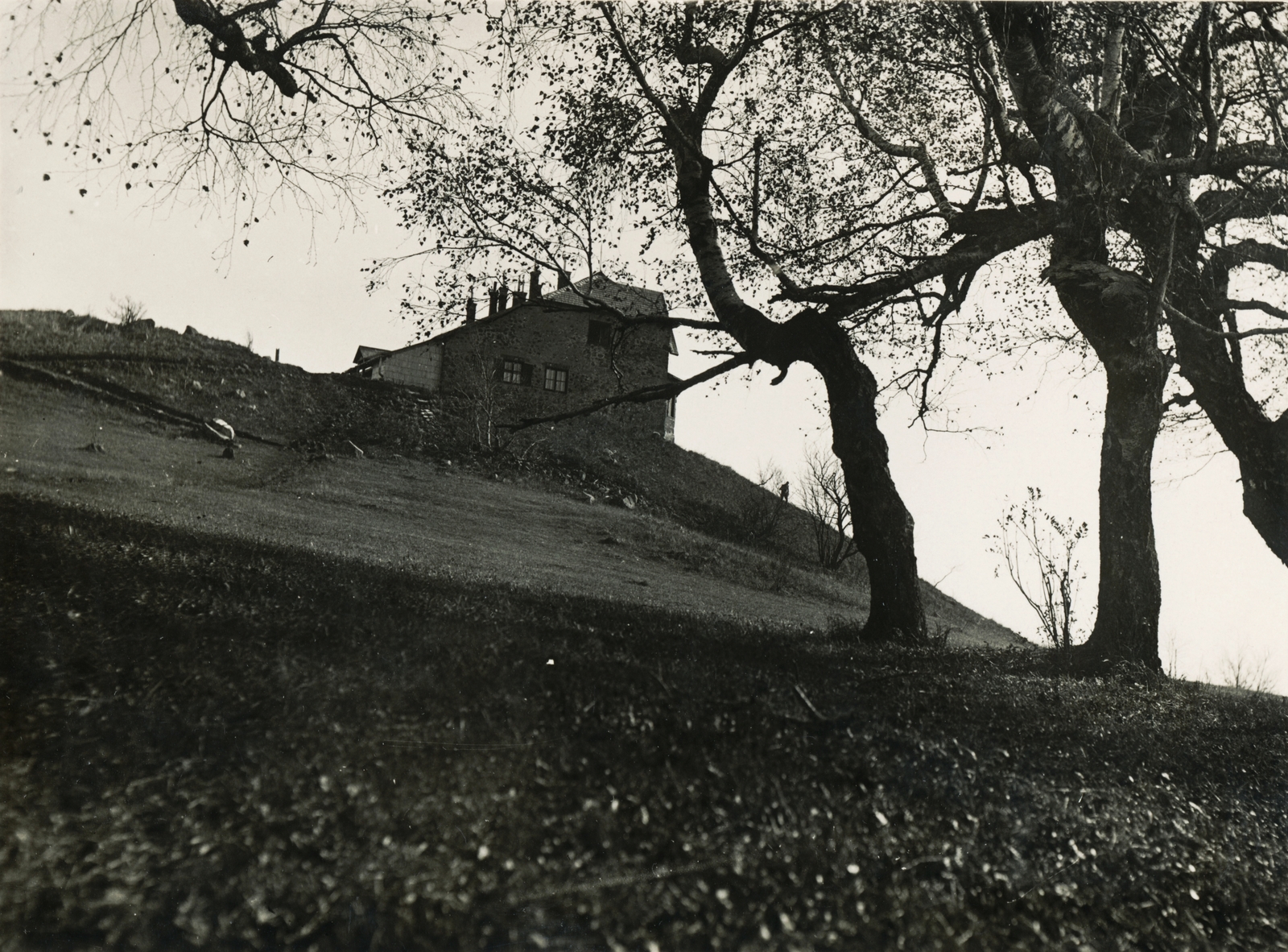 Hungary, Galyatető, Mátraszentimre, Magyar Hegymászók Egyesülete "Egyetemiek" menedékháza., 1932, Schermann Ákos, safe house, Fortepan #95831