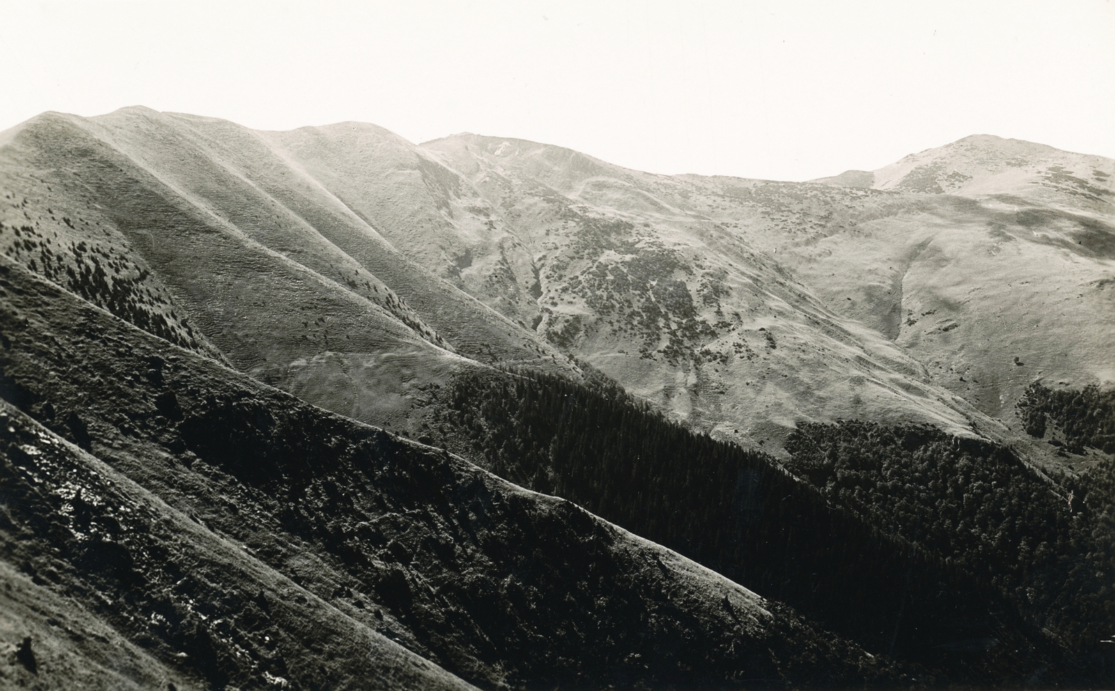 Slovakia, Kis-Fátra, Steny gerinc, jobbra a Chleb csúcs., 1939, Schermann Ákos, landscape, mountain, First Slovak Republic, Fortepan #95865