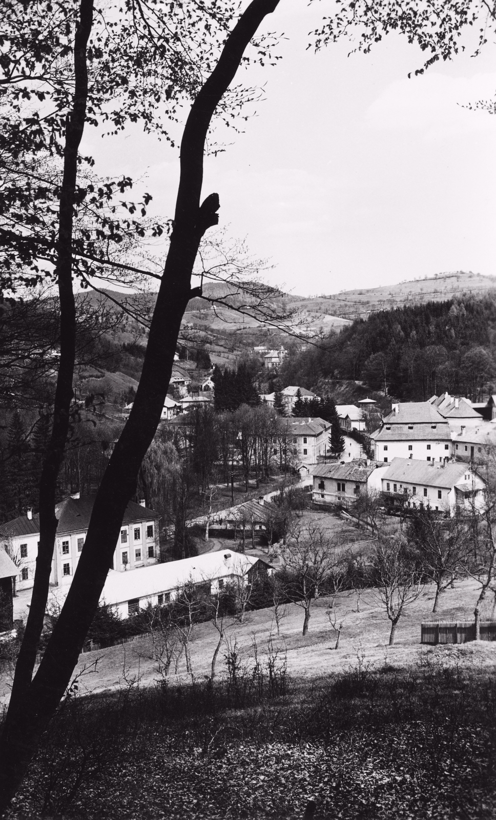 1931, Schermann Ákos, picture, Fortepan #95937