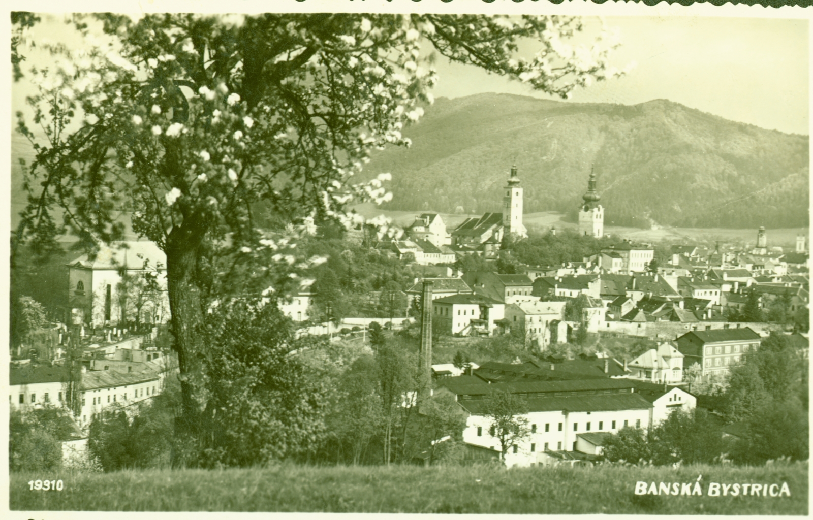 Slovakia, Banská Bystrica, a város látképe, háttérben balra a Szűz Mária mennybevitele templom, jobbra a Barbakán., 1936, Schermann Ákos, Czechoslovakia, Fortepan #95960
