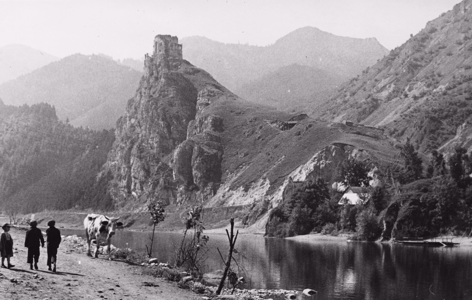 Slovakia, Strečno, a Vág folyó partja, szemben a vár., 1939, Schermann Ákos, Czechoslovakia, river, cattle, landscape, castle ruins, First Slovak Republic, Fortepan #95982