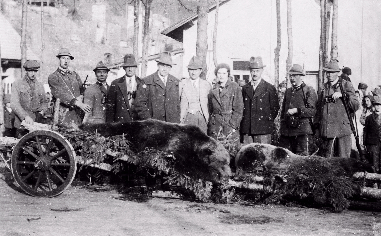 1937, Schermann Ákos, vadász, medve, zsákmány, Fortepan #96033