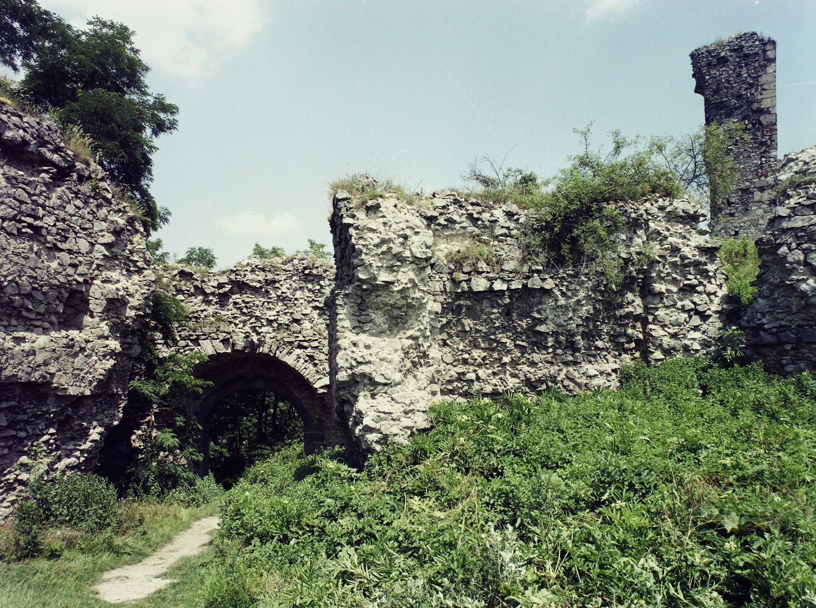 Magyarország, Nógrád, Nógrád vára., 1977, Kádas Tibor, színes, várrom, Fortepan #9620