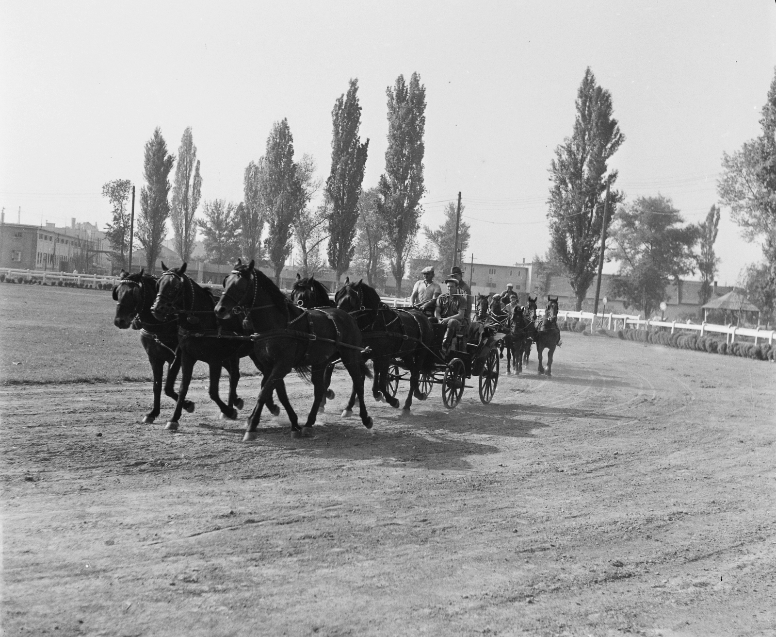 Magyarország, Budapest X., Albertirsai úti vásár területe, Országos Mezőgazdasági Kiállítás és Vásár, lovaspálya., 1954, Kotnyek Antal, Budapest, lovaskocsi, fogat, Fortepan #96326