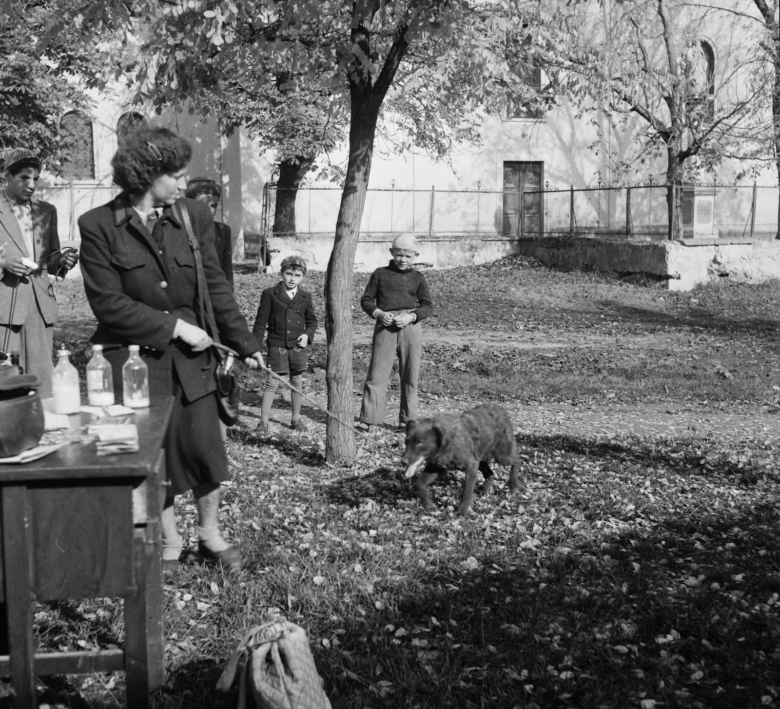 Hungary, Szabadszentkirály, Petőfi Sándor utca, kutyák veszettség elleni beoltása a Községi Tanács (később Községháza) előtt, háttérben a Szent István király templom., 1954, Kotnyek Antal, dog, leash, vaccine, master, photo aspect ratio: square, Fortepan #96468