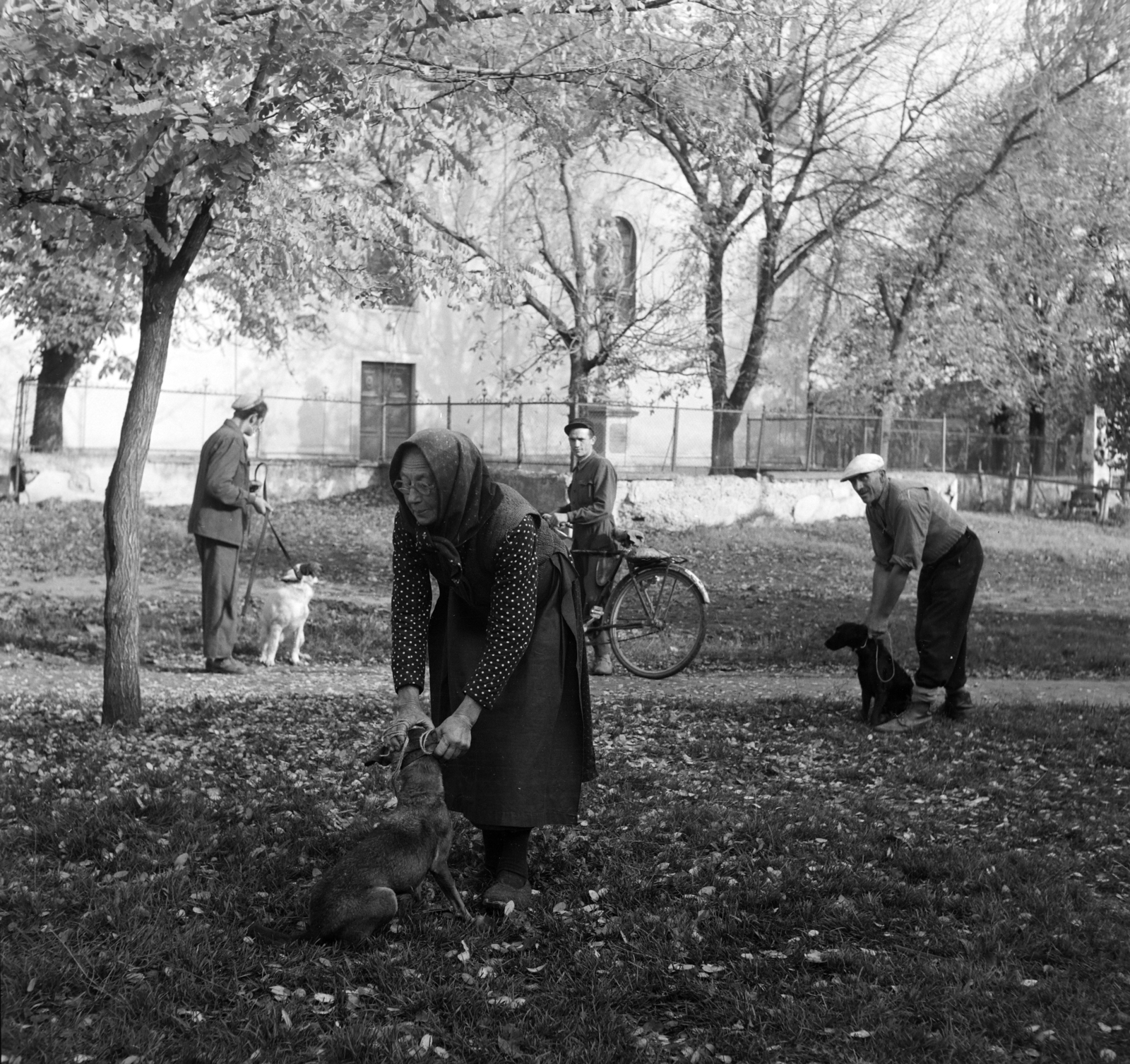 Hungary, Szabadszentkirály, Petőfi Sándor utca, veszettség elleni beoltása váró kutyák gazdáikkal a Községi Tanács (később Községháza) előtt, háttérben a Szent István király templom., 1954, Kotnyek Antal, bicycle, dog, monument, genre painting, leash, vaccine, master, walking the dog, Fortepan #96478