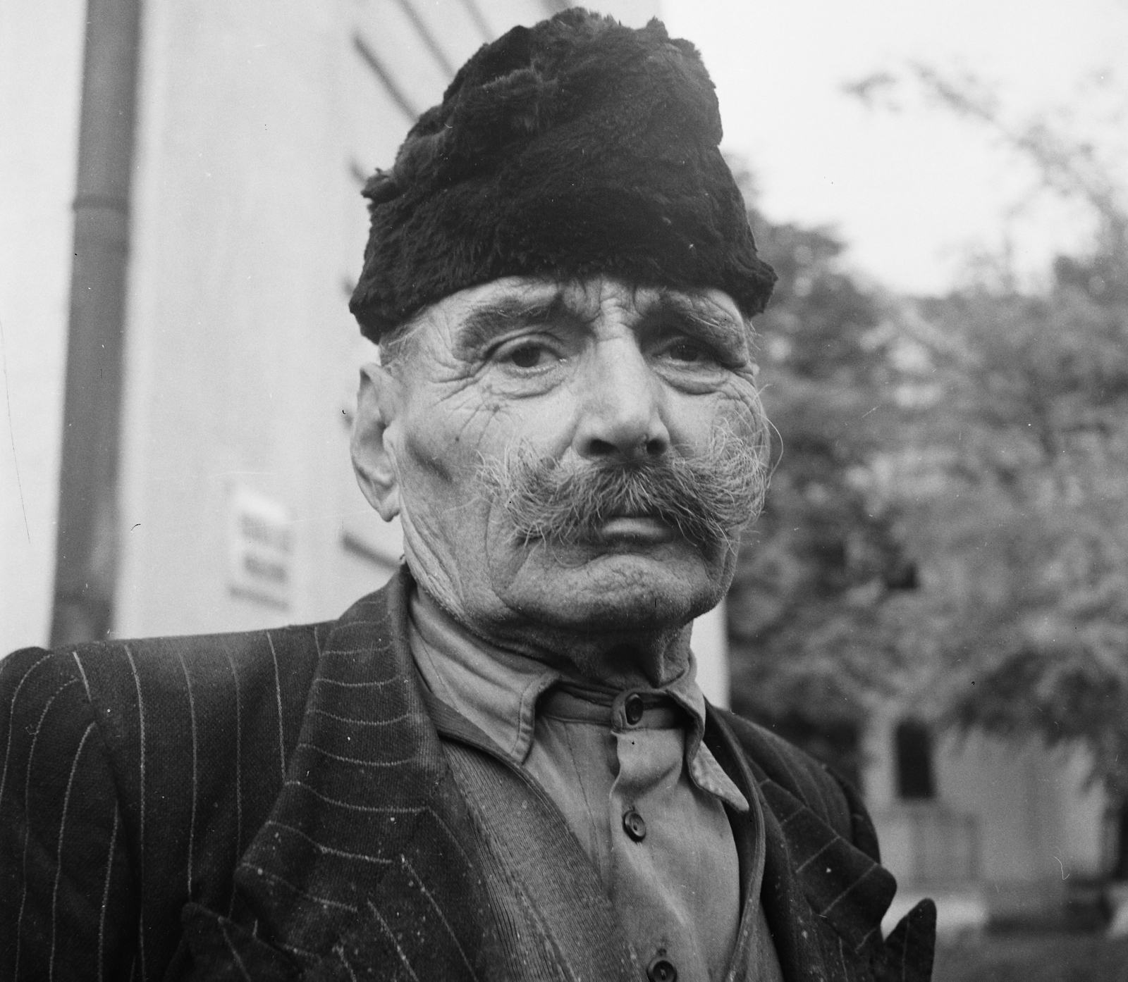 Hungary, Szabadszentkirály, portré a település egyik földműveséről., 1954, Kotnyek Antal, portrait, moustache, man, Fortepan #96482