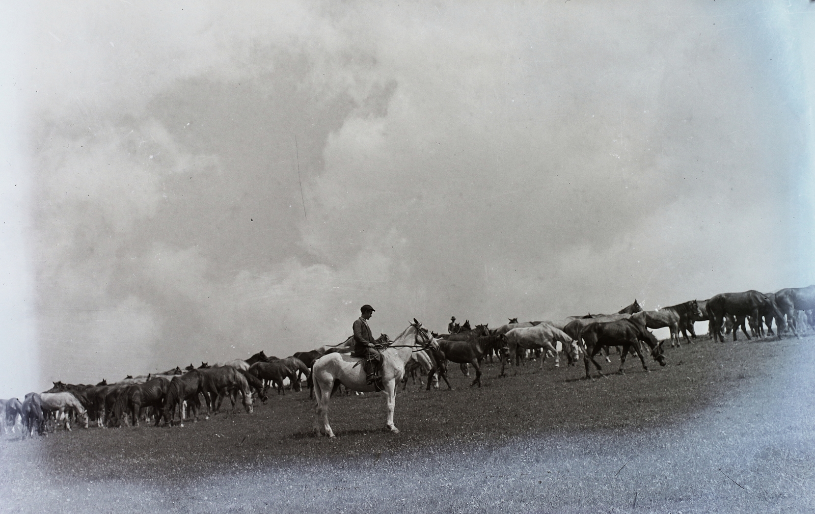 1958, Kotnyek Antal, lovaglás, csikós, ménes, legelő, Fortepan #96539