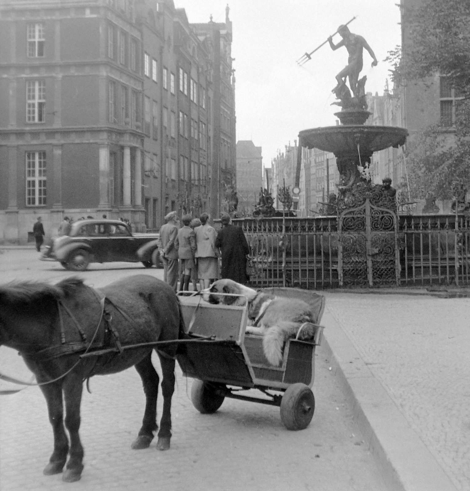 Poland, Gdańsk, Neptun-szobor., 1956, Gyöngyi, dog, fountain, Horse-drawn carriage, rococo architecture, Neptune-portrayal, Abraham van den Blocke-design, Mannerist, Fortepan #9688