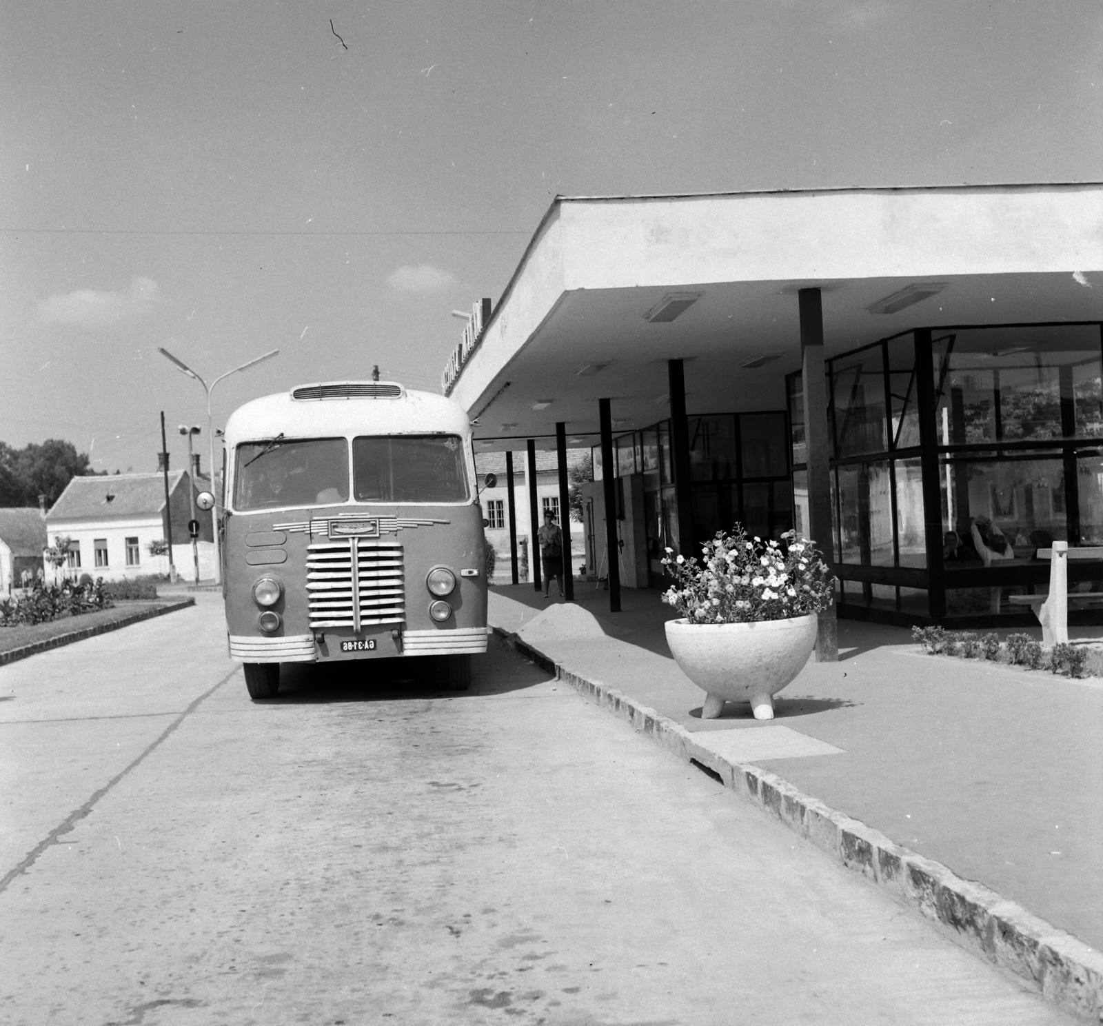Hungary, Devecser, autóbusz-állomás., 1965, UVATERV, bus, Ikarus-brand, planter, bus stop, Fortepan #97119