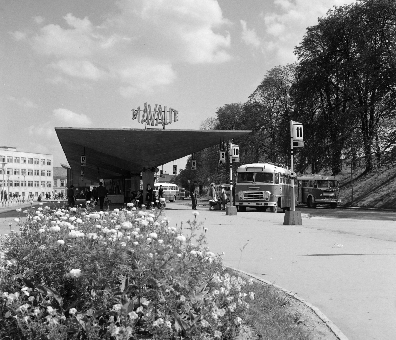 Hungary, Kaposvár, Újpiac tér, autóbusz-állomás., 1968, UVATERV, MÁVAUT-organisation, bus stop, Fortepan #97629