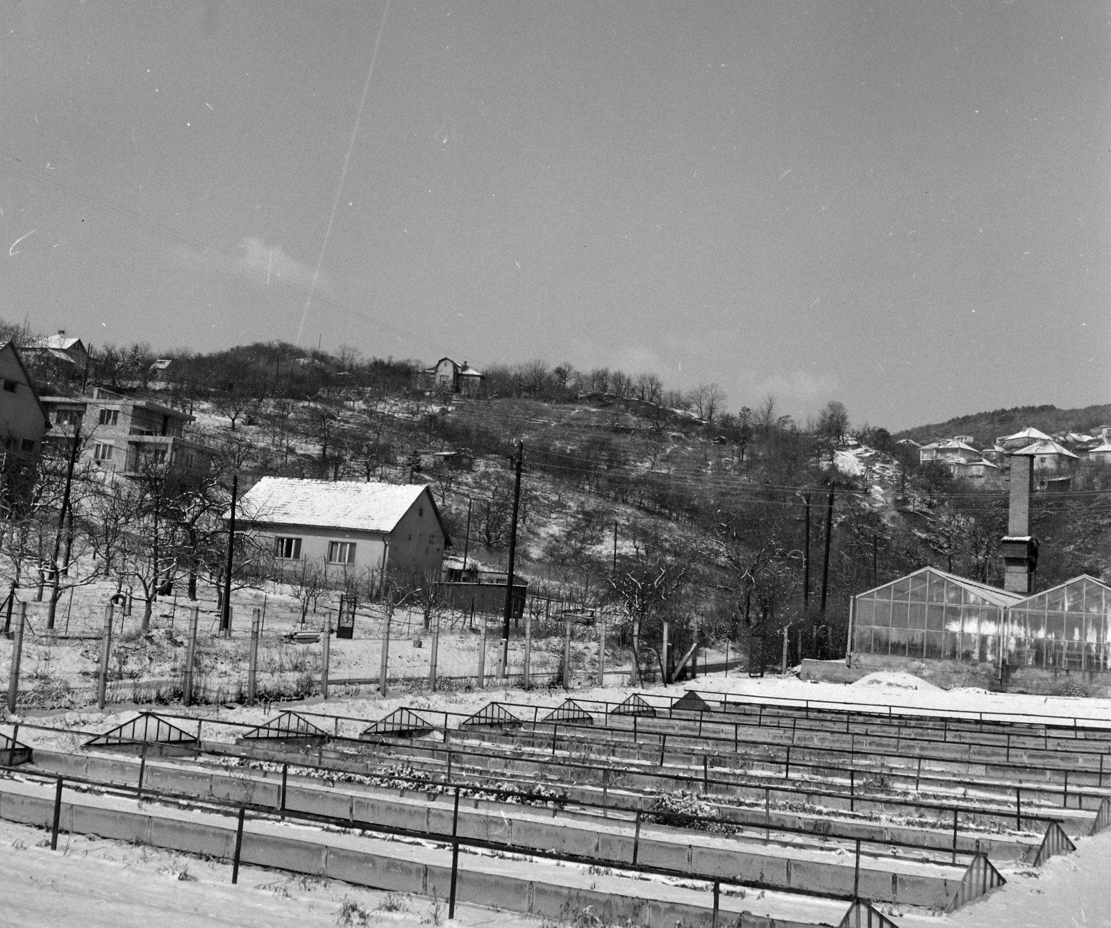 Magyarország, Budapest XII., Törökbálinti út az Edvi Illés utcánál, a SASAD Mgtsz dísznövénytermesztő telepének üvegházai., 1976, UVATERV, Budapest, Fortepan #99091