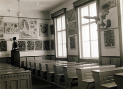 Hungary, Kalocsa, az Érseki Főgimnázium természetrajz oktatóterme., 1930, Jezsuita Levéltár, classroom, taxidermy, slide projector, Fortepan #100050