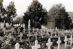 Magyarország, Pannonhalma, szerzetesek parcellája a Pannonhalmi temetőben., 1979, Jezsuita Levéltár, Fortepan #100273