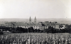 Magyarország, Pécs, a jezsuita Pius Gimnázium és Internátus (később Pécsi Tudományegyetem) épülete és a Jézus Szíve (Pius) templom tornyai., 1933, Jezsuita Levéltár, templom, katolikus, Fortepan #100387