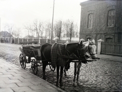 Lengyelország, Skierniewice, ulica Konstytucji 3-go Maja, szemben a Kertészeti Kutatóintézet (Instytut Ogrodnictwa)., 1942, Bogdan Celichowski, fogat, Fortepan #100537