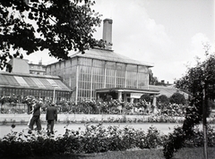 Lengyelország, Poznań, Wilson Park, Pálmaház., 1939, Bogdan Celichowski, üvegház, botanikus kert, Stefan Cybichowski-terv, Fortepan #100542