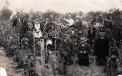 Hungary, Kecskemét, Szarkás városrész., 1931, Buzás Balázs, kneeling, family, vine, Fortepan #100558