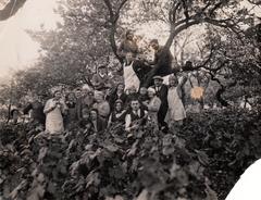 Hungary, Kecskemét, Csalános városrész., 1930, Buzás Balázs, sitting on a tree, Fortepan #100561