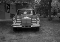 Hungary, Budapest XIV., 1962, Dobóczi Zsolt, Mercedes-brand, number plate, Budapest, Fortepan #100702