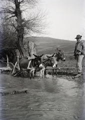 1941, Dobóczi Zsolt, szamár, népviselet, Fortepan #100798