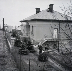 Magyarország, Budapest XII., Rácz Aladár út 58. (ekkor Torbágyi út 62.)., 1941, Dobóczi Zsolt, ház, fenyőfa, Budapest, Fortepan #100835