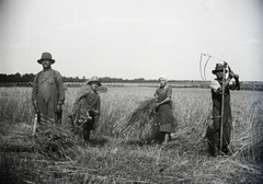 1941, Dobóczi Zsolt, mezőgazdaság, aratás, kasza, Fortepan #100846