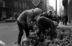 Magyarország, Budapest V., virágágyás a Kossuth Lajos utca - Károly (Tanács) körút sarkánál, távolban az északi Klotild-palota tornya., 1968, Erdei Katalin, kertészet, neon felirat, Budapest, virágágyás, Fortepan #100864