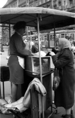 Magyarország, Budapest VII., Rákóczi út, pattogatott kukorica árus a Szövetség utca sarkán., 1968, Erdei Katalin, villamos, FVV CSM-2/CSM-4, pattogatott kukorica, Budapest, Fortepan #100883