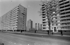 Magyarország, Budapest XI., az Etele (Szakasits Árpád) út házsora, háttérben szemben a Fejér Lipót (Török Ignác) utcai toronyházak., 1969, Erdei Katalin, lakótelep, magasház, Budapest, Fortepan #100896