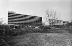 Magyarország, Budapest XI., park a Feneketlen-tó mellett, a Tas vezér utcánál Sport (később Flamenco) szálló., 1969, Erdei Katalin, Budapest, Fortepan #100900