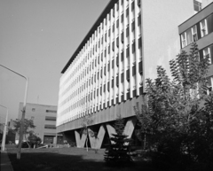 Magyarország, Miskolc, Palóczy László utca 1., Központi Leánykollégium., 1969, Erdei Katalin, Fortepan #100926