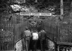 Szlovákia, Szlovák Paradicsom Nemzeti Park, Dobsina, a Dobsinai-jégbarlang bejárata., 1963, Kollár Balázs, Csehszlovákia, léckerítés, barlang, bejárat, Fortepan #101200