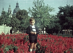 Magyarország, Budapest V., Erzsébet (Engels) tér, háttérben a Bazilika., 1958, Kollár Balázs, színes, Magyarország lap, Budapest, Fortepan #101219