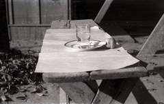 1940, Győző József, bench, glass, plate, Fortepan #101598