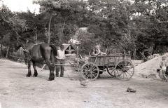 1947, Győző József, nagyszülő, kisfiú, paraszt, szekér, ló, Fortepan #101631