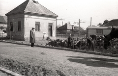 Magyarország, Budapest XVI., Sashalmi tér., 1947, Győző József, Budapest, Fortepan #101642