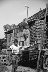 Magyarország, Gyömrő, Tulipán utca 27., 1948, Rigó László, létra, kamasz, fiú, tégla, vödör, falazás, kőműves, Fortepan #101660