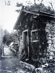 1917, Kurutz Márton, First World War, dog, uniform, garden, men, soldier, Fortepan #10376