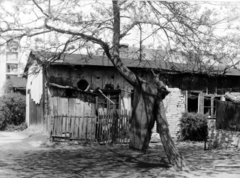 Magyarország, Budapest IX., Mária Valéria telep, háttérben az Üllői úti lakótelep házai. A kép forrását kérjük így adja meg: Fortepan / Budapest Főváros Levéltára. Levéltári jelzet: HU_BFL_XV_19_c_11, 1961, Budapest Főváros Levéltára / Városrendezési és Építészeti Osztályának fényképei, A Fővárosi Tanács VB Városrendezési és Építészeti Osztályának, Budapest, Fortepan #103818