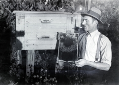 1932, Kurutz Márton, apiary, Fortepan #10456