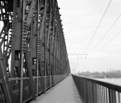 Magyarország, Budapest III., Újpesti vasúti híd, a Népsziget felől a budai hídfő felé nézve. A kép forrását kérjük így adja meg: Fortepan / Budapest Főváros Levéltára. Levéltári jelzet: HU.BFL.XV.19.c.10, 1964, Budapest Főváros Levéltára / BRFK helyszínelési fényképei, BRFK Hivatala Bűnügyi Technikai Osztály, híd, vasúti híd, távvezeték, Budapest, Fortepan #104581