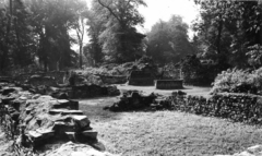 Hungary, Margit Islands, Budapest, kolostorrom., 1943, Archiv für Zeitgeschichte ETH Zürich / Agnes Hirschi, Carl Lutz, ruins, Fortepan #105636