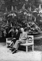 Hungary, Carl Lutz svájci diplomata és felesége., 1943, Archiv für Zeitgeschichte ETH Zürich / Agnes Hirschi, Carl Lutz, bench, chestnut tree, Budapest, Fortepan #105743