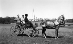 Hungary, Carl Lutz svájci diplomata feleségével., 1943, Archiv für Zeitgeschichte ETH Zürich / Agnes Hirschi, Carl Lutz, coach, teamster, saddle, Fortepan #105745