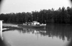 Serbia, a felvétel a Felszabadulás gőzhajó fedélzetén, az Írószövetség jugoszláviai útján készült., 1965, Hunyady József, Miskolc ship, Fortepan #105901