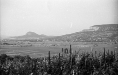 Hungary, Tapolcai-medence, a Gulács és a Badacsony Szigliget felől nézve., 1962, Hunyady József, vine hill, Fortepan #105908